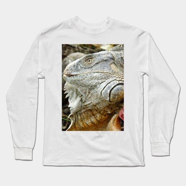 oli red iguana Long Sleeve T-Shirt by pcfyi